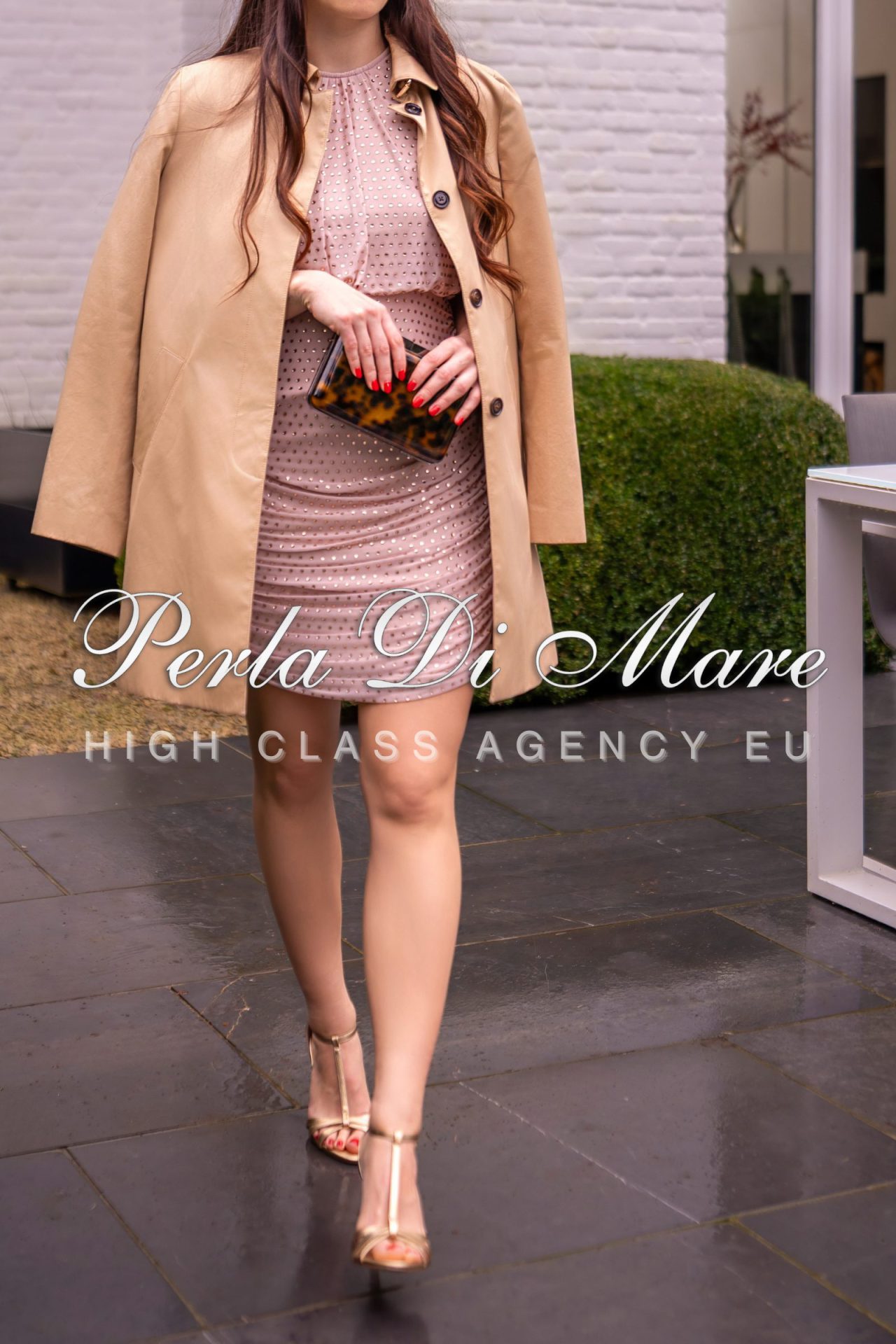 Cleo- Escort companion Brussels, Belgium -Europe -Worldwide (5)